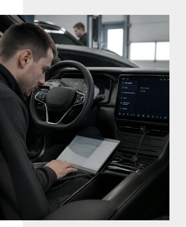 Русификация автомобилей BYD под ключ для всех моделей в Тамбове