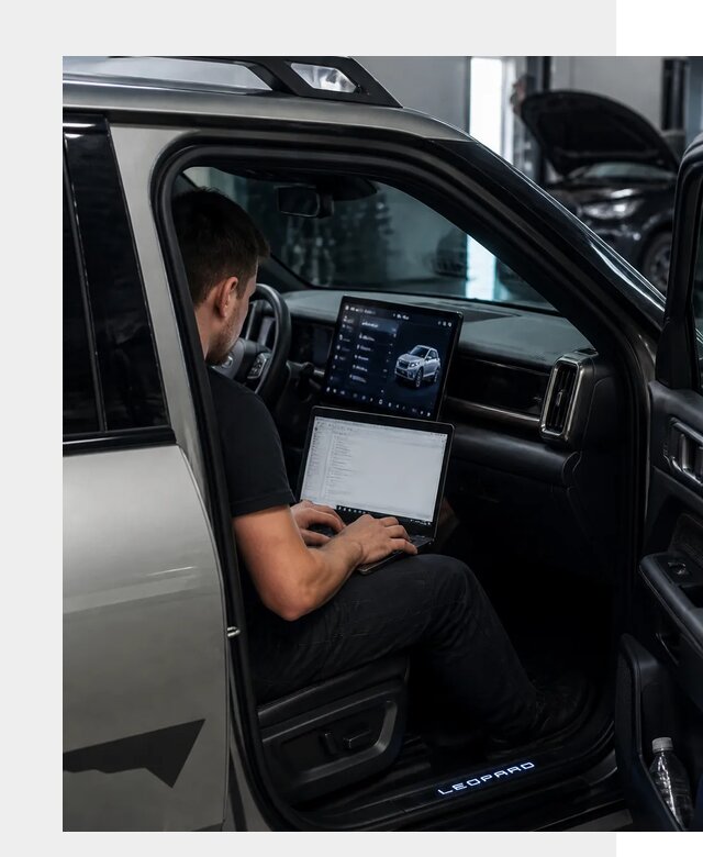 Русификация BYD Leopard 3 в Тамбове по цене от 20206 р. | ФастМобиль-Тмб